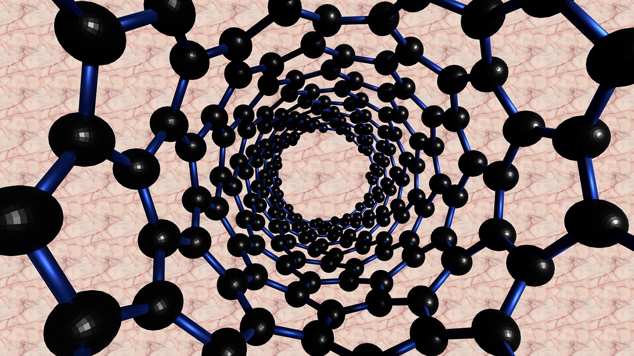 Endofullerenes