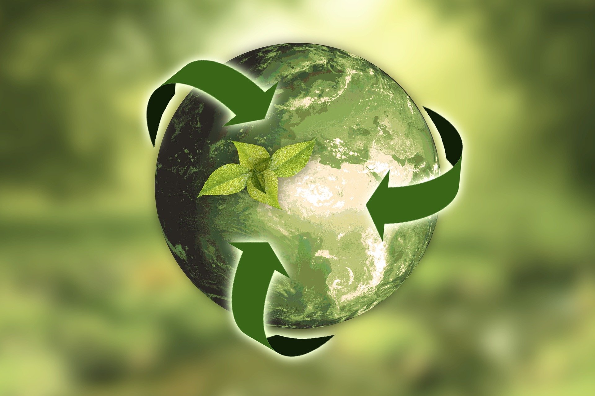 sustainable Material on Earth